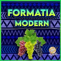 Formatia Modern — Soacră — обложка